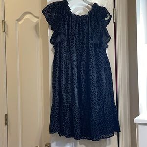 Loft Black Velvet Leopard Dress